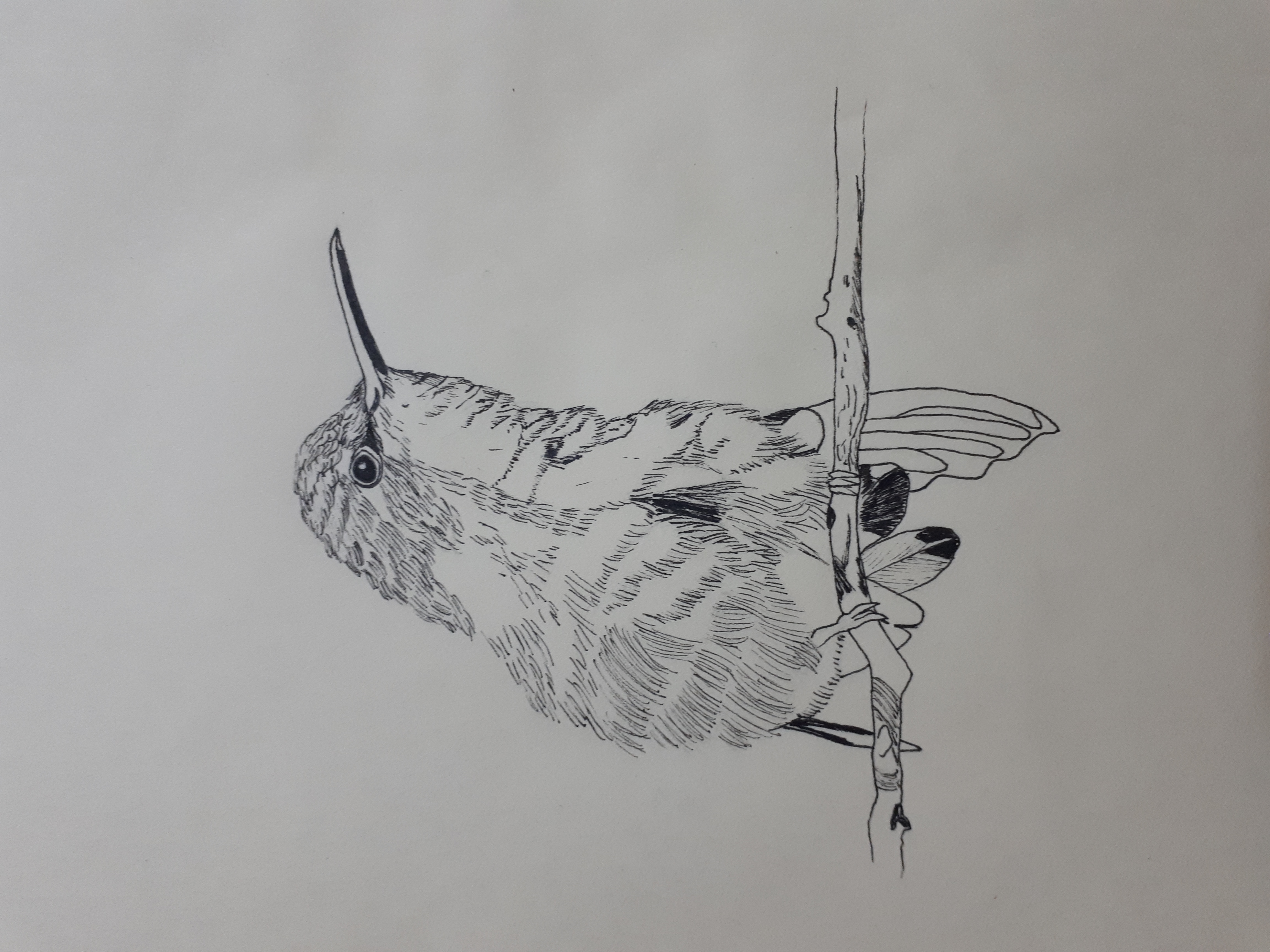 Warm-up 17